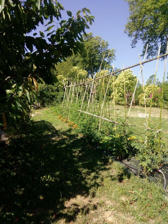 Lili Hébergement de vacances Céret
